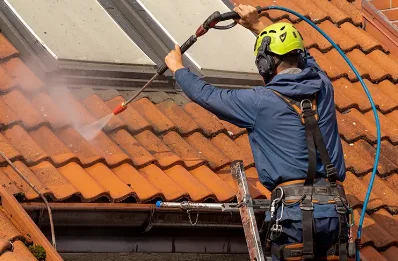 Démoussage et hydrofuge de toiture à Saliceto